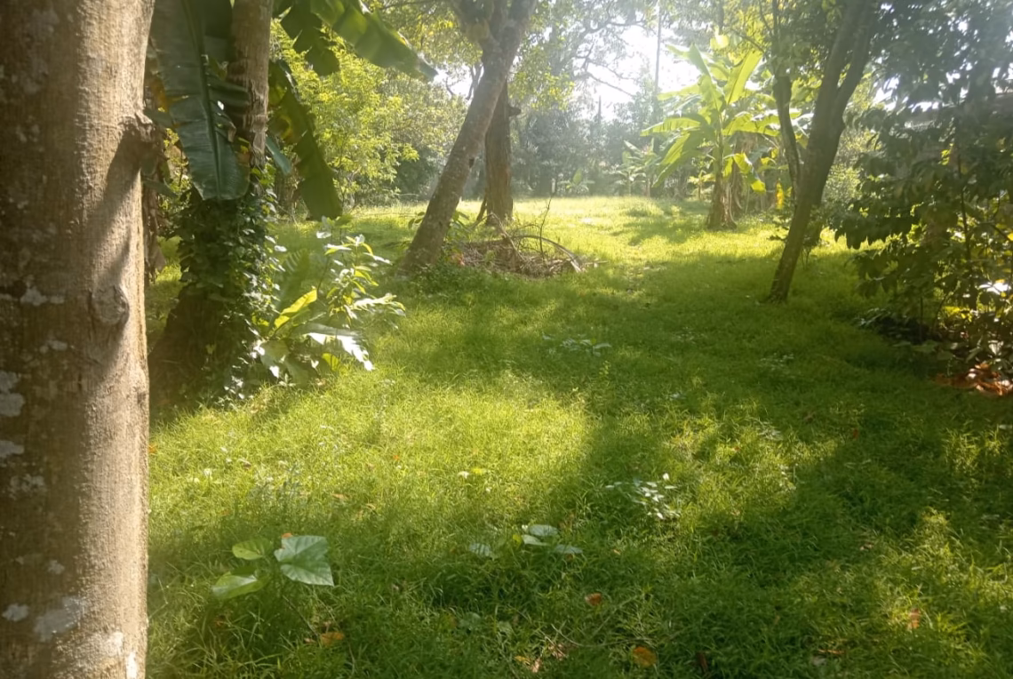 IMG-20250331-WA0018