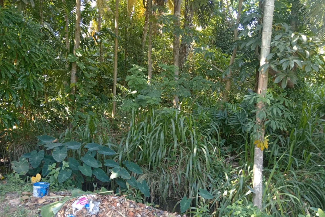 WhatsApp Image 2023-08-17 at 14.27.11