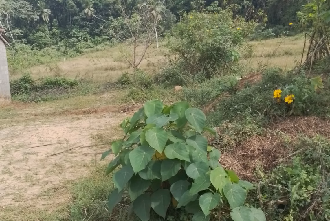 WhatsApp Image 2026-03-17 at 11.26.40